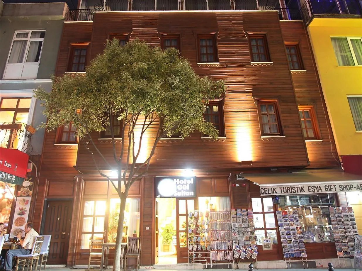 Gul Sultan Hotel Istambul 3*,  Turquia